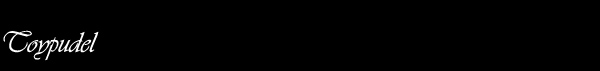 Toypudel